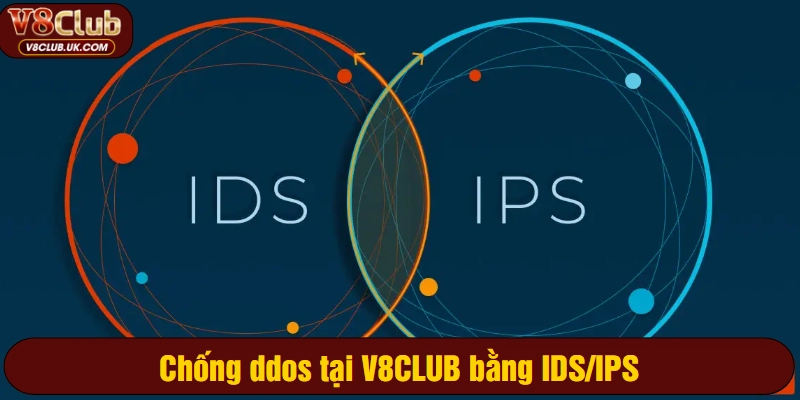 Chống ddos tại V8CLUB bằng IDS/IPS