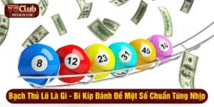 Bạch thủ lô là gì
