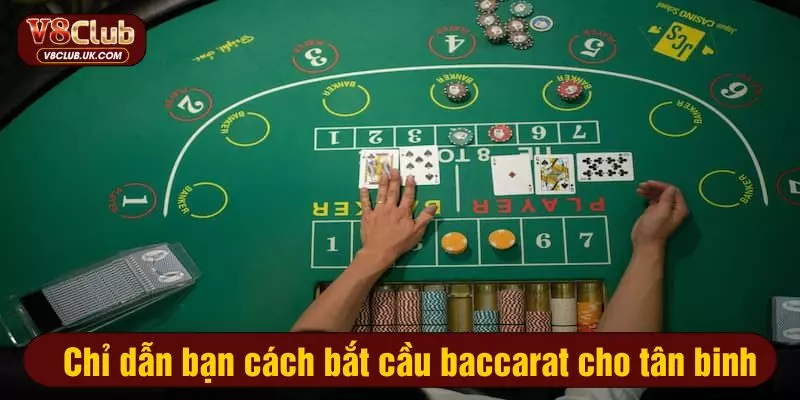 Chỉ dẫn bạn cách bắt cầu baccarat cho tân binh