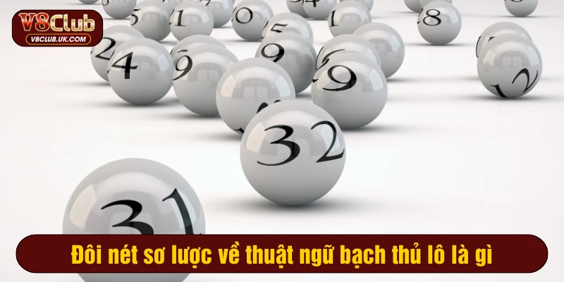 Đôi nét sơ lược về thuật ngữ bạch thủ lô là gì