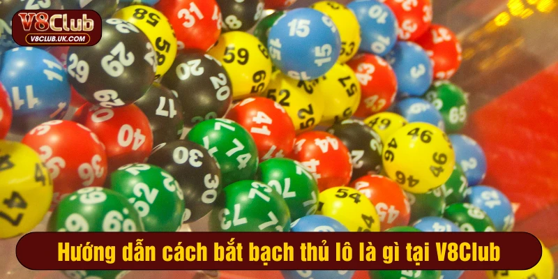 Hướng dẫn cách bắt bạch thủ lô là gì tại V8Club