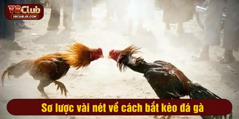 Sơ lược vài nét về cách bắt kèo đá gà